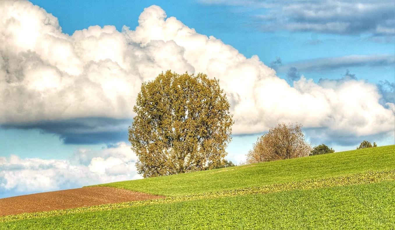 Hoeve Hofgaarde Heers المظهر الخارجي الصورة