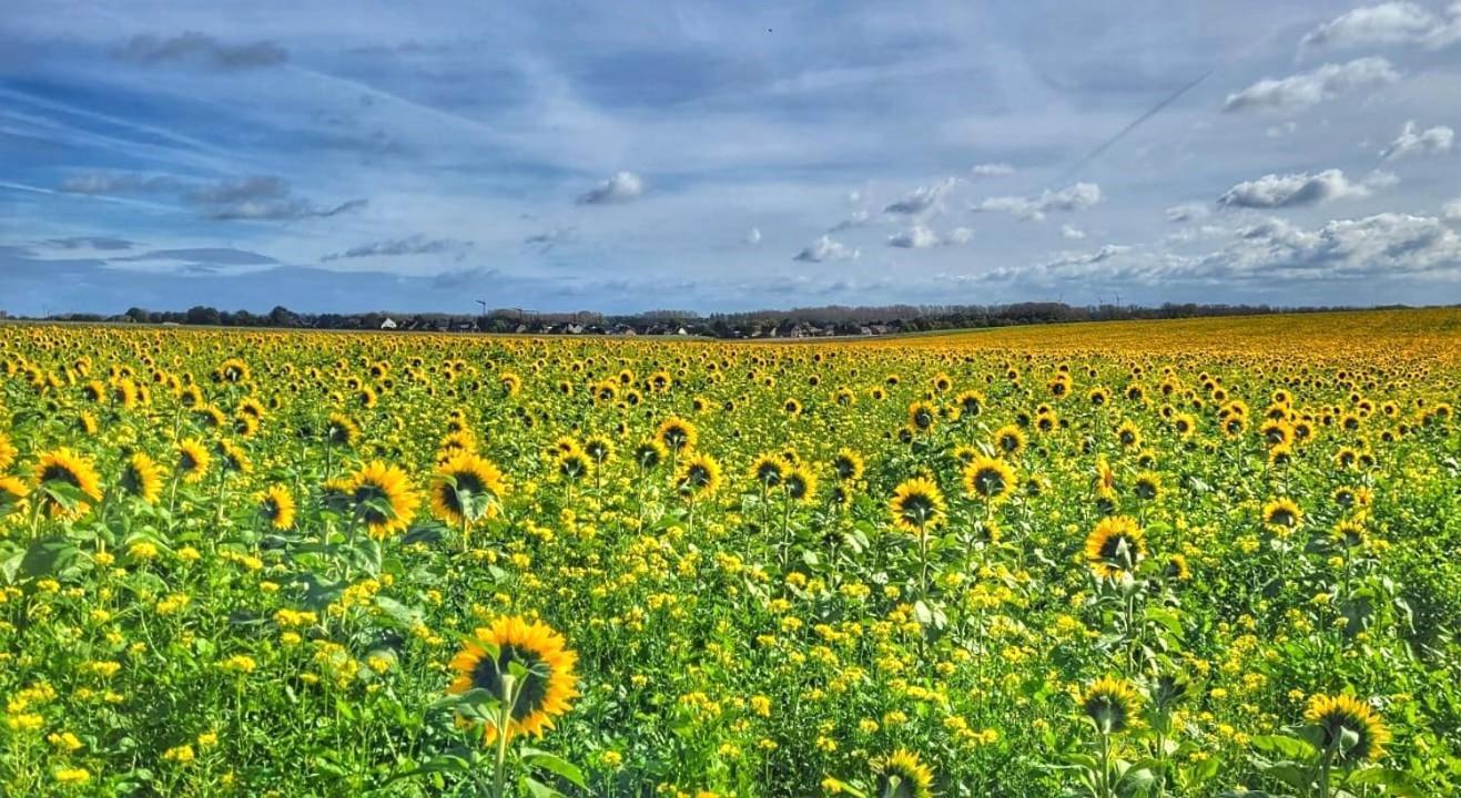 Hoeve Hofgaarde Heers المظهر الخارجي الصورة