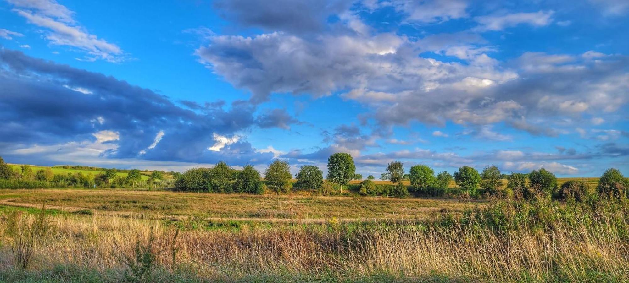 Hoeve Hofgaarde Heers المظهر الخارجي الصورة